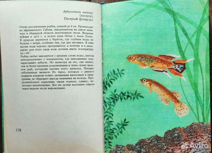 Книга аквариумные рыбы