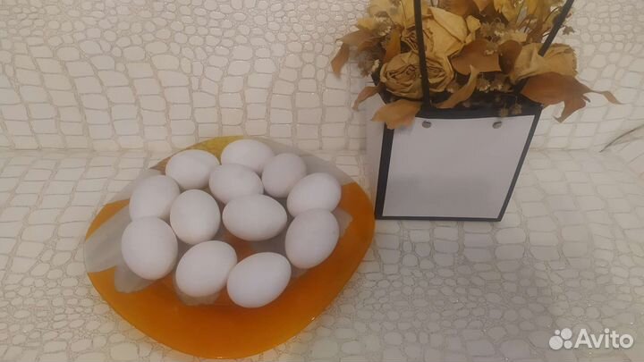 Яйцо домашнее