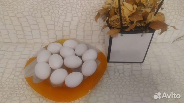 Яйцо домашнее