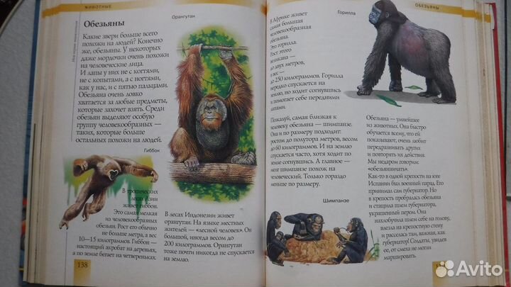 Моя первая энциклопедия