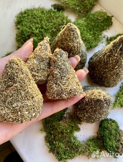 Ведьмина свеча