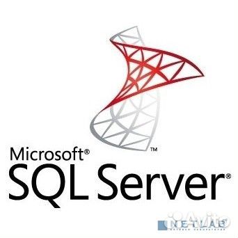 По Microsoft SQL Svr Standard Edtn 2019 English DV