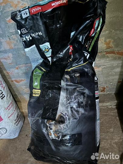 Корм для собак