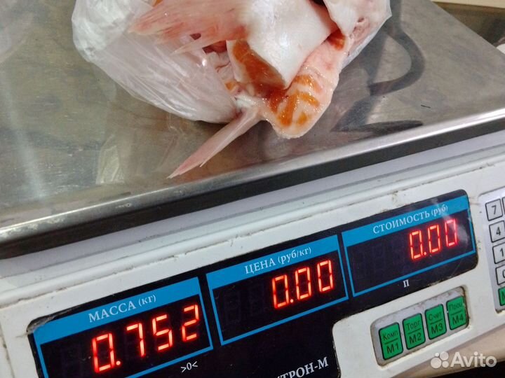 Головы лосося