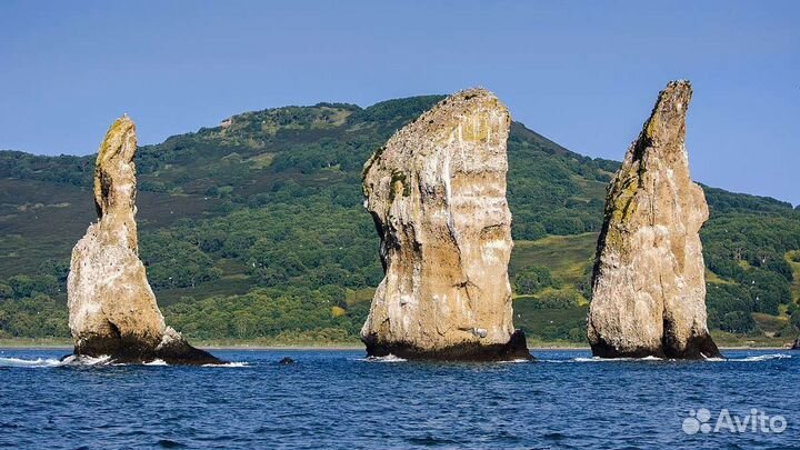 Морская прогулка в бухту Русскую, остров Старичков