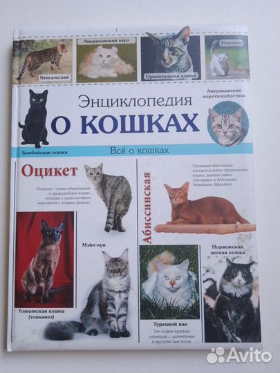 Энциклопедия о кошках