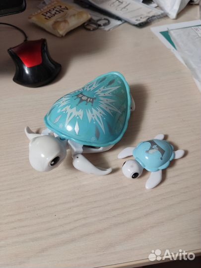 Little live pets питомец черепаха