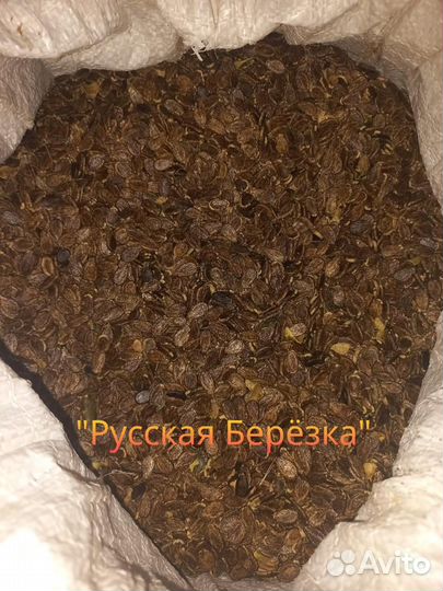 Семена арбуза