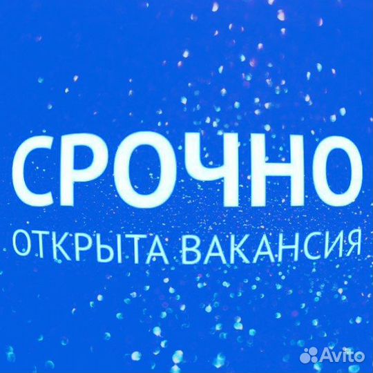 Мерчендайзер(центр/начало Заводского)