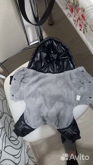 Одежда для маленьких пород собак