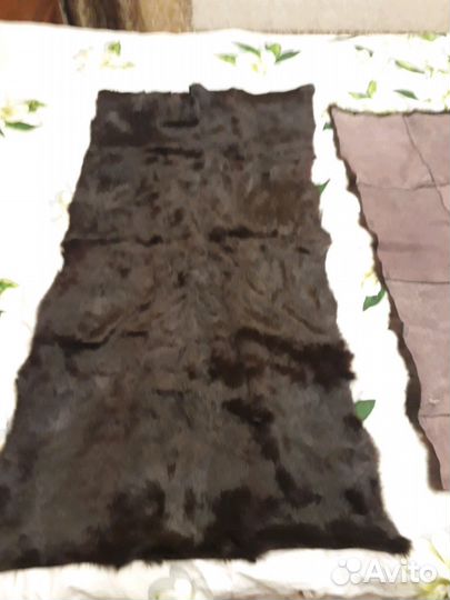 Шкурка семейства куниц