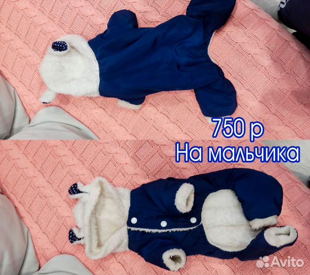 Комбинезон для маленькой собаки девочки и мальчика