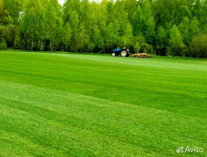 Рулонный газон от производителя
