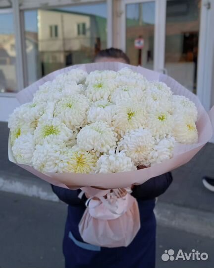 Хризантема