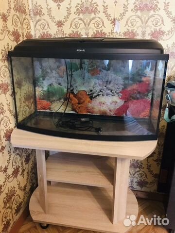 Аквариум