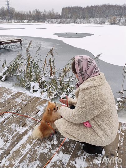 Кинолог зоопсихолог передержка собак и кошек