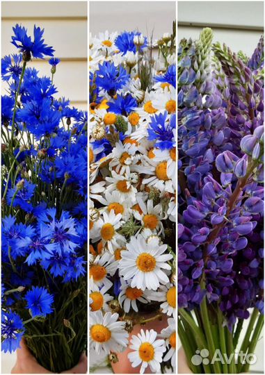 Букеты из сезонных цветов