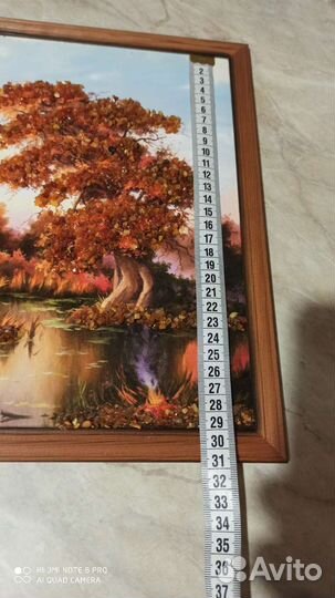 Картина из настоящего,Янтаря