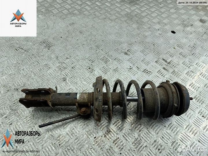 Стойка передняя Opel Meriva (A) 2003 24403433