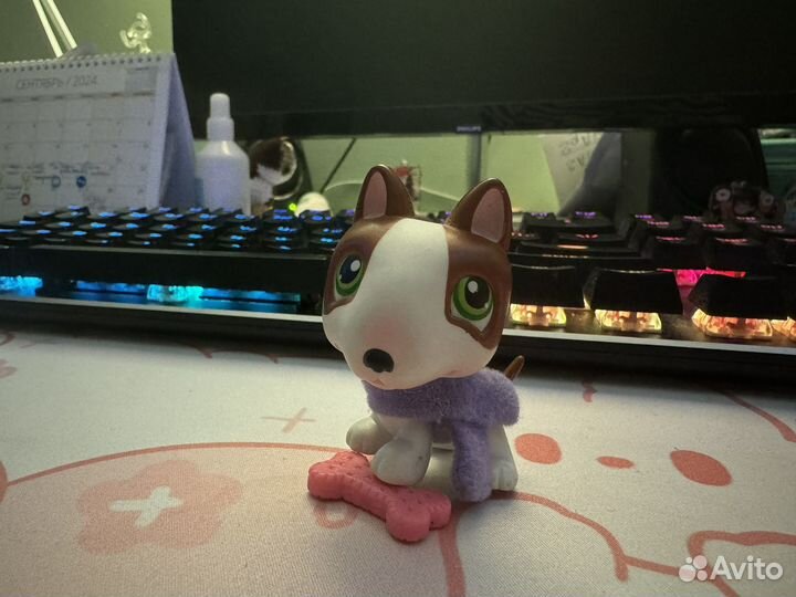 LPS #154 Бультерьер