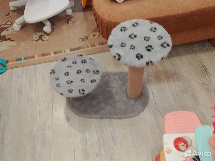 Когтеточка