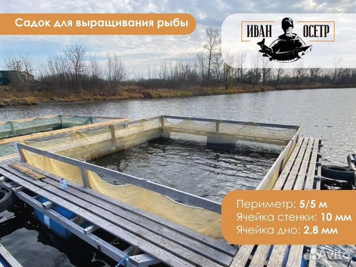 Крышка садка для выращивания рыбы