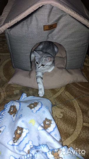 Домик лежанки Для кошек и собак мелких пород