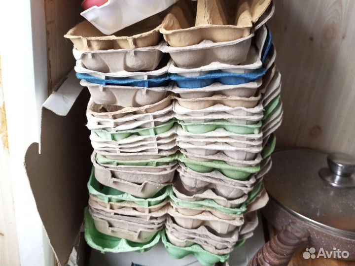 Ячейки для яиц