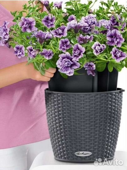 Кашпо для цветов Lechuza