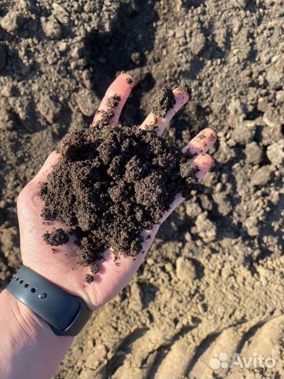 Перегной, чернозем (не торф)