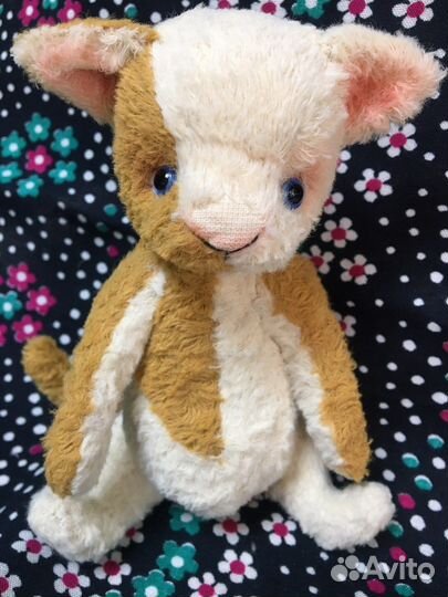 Котенок-тедди