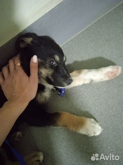 Нежная спокойная Малышка в самые добрые руки