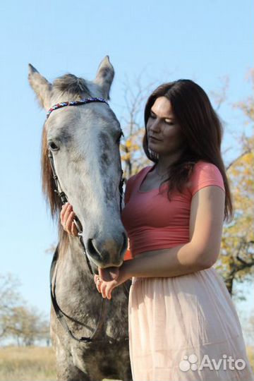 Налобник для лошади