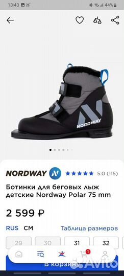 Лыжные ботинки