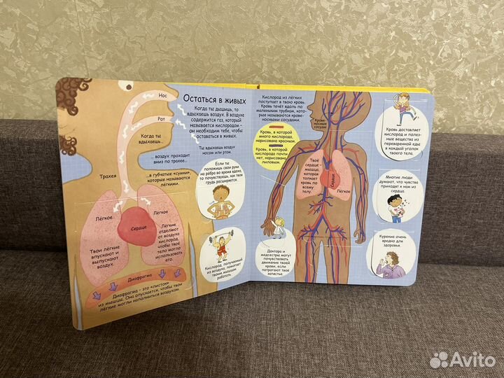 Секреты человека робинс