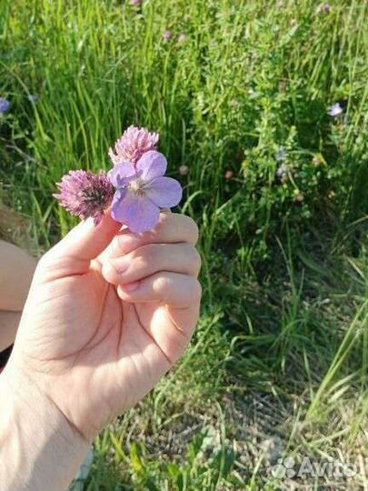 Векторный массаж массаж лица, коррекция фигуры