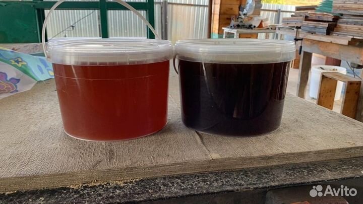 Мед Дягилевый темный опт