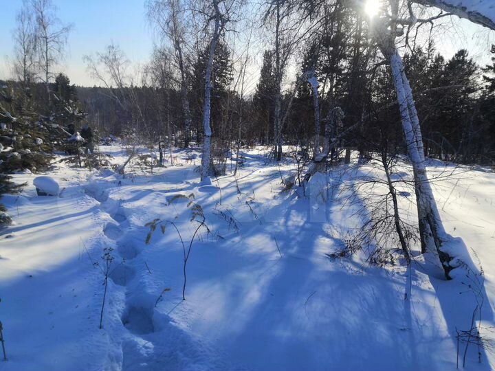 Участок 12 сот. (ИЖС)