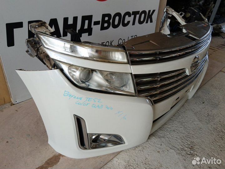 Nose cut Nissan Elgrand TE52 2010