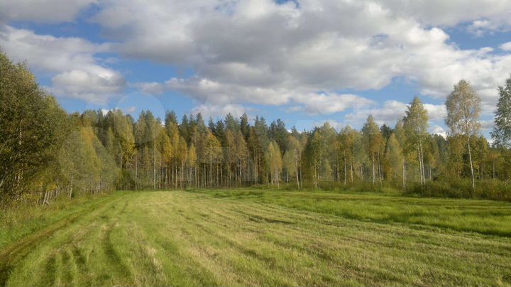 Дом 90 м² на участке 3,9 га