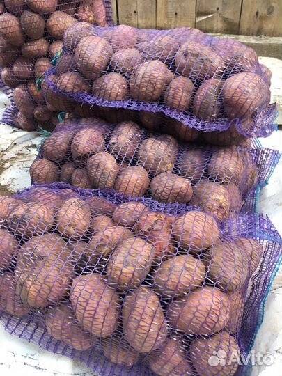 Картофель с доставкой