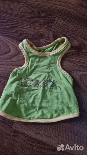 Одежда для собак