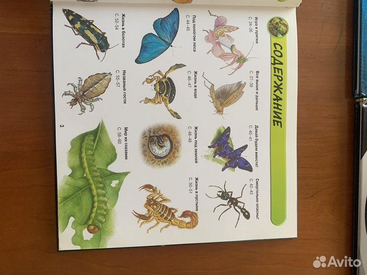 Энциклопедия 9 книг