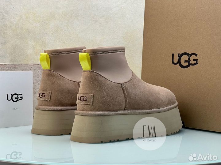 Женские угги на платформе Ugg Dipper Mustard Seed