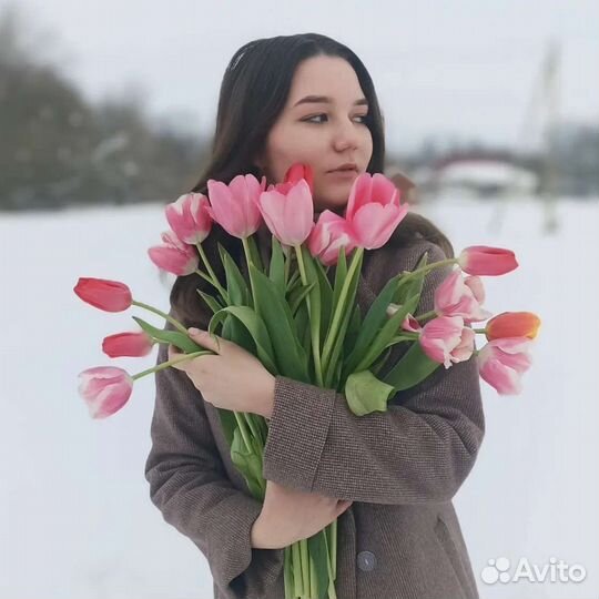 Написание сочинений, эссе, помощь в дз