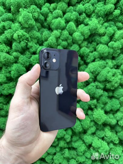 iPhone 12 mini, 256 ГБ