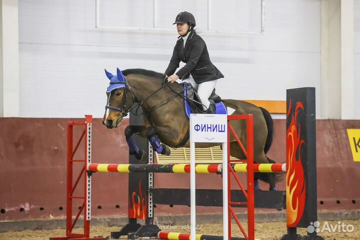 Лошадь в аренду