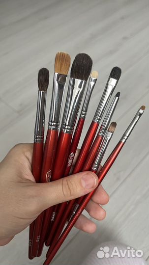 Профессиональные кисти для макияжа Ludovik