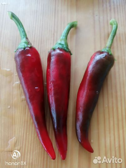 Семена сладкого перца и острого