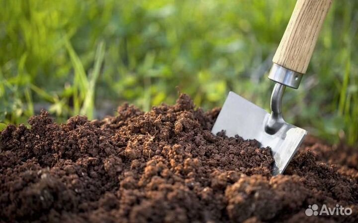 Верхний слой грунта